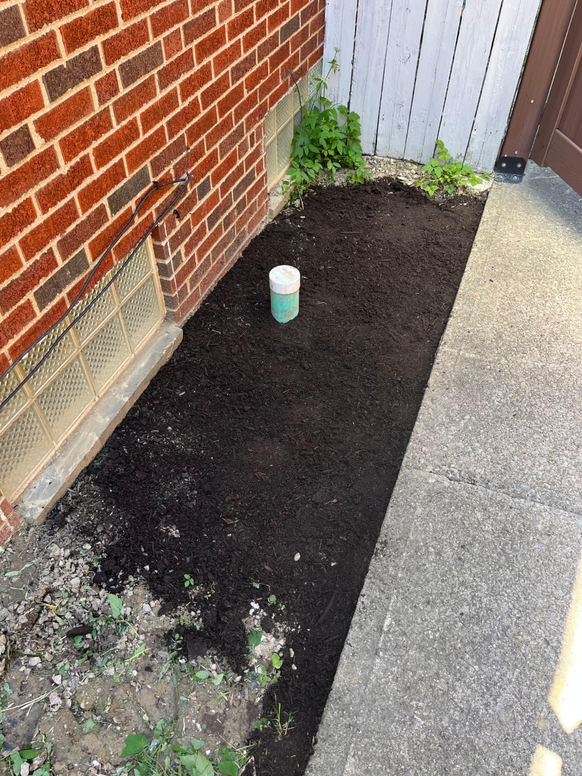 Refreshed mulch garden bed beside a brick home and concrete walkway